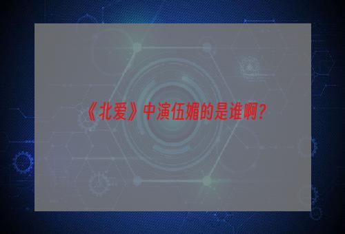 《北爱》中演伍媚的是谁啊？