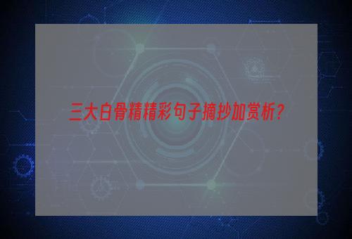 三大白骨精精彩句子摘抄加赏析？