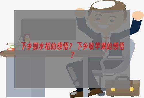 下乡割水稻的感悟？ 下乡收苹果的感悟？