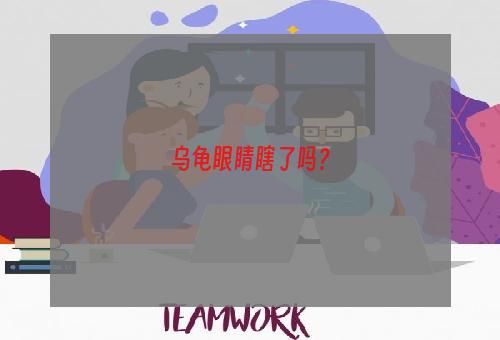 乌龟眼睛瞎了吗？