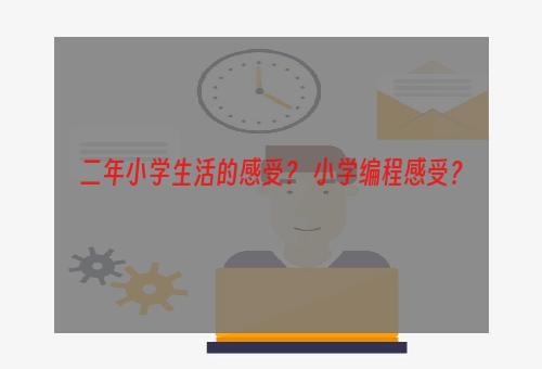 二年小学生活的感受？ 小学编程感受？