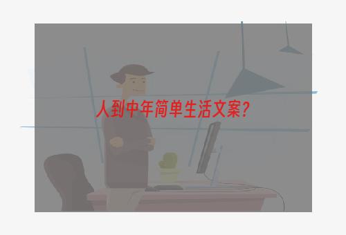 人到中年简单生活文案？