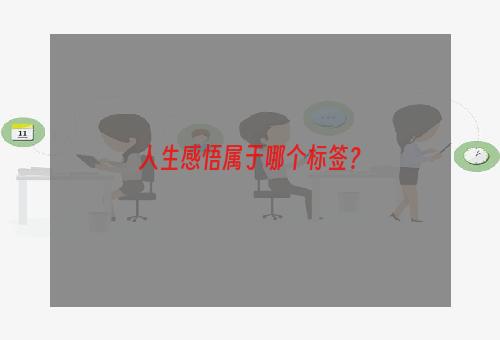 人生感悟属于哪个标签？