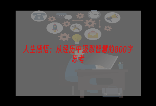 人生感悟：从经历中汲取智慧的800字思考