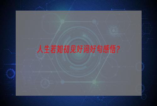 人生若如初见好词好句感悟？