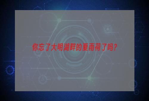 你忘了大明湖畔的夏雨荷了吗？