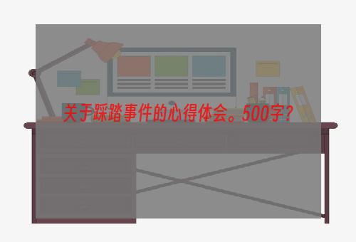 关于踩踏事件的心得体会。500字？