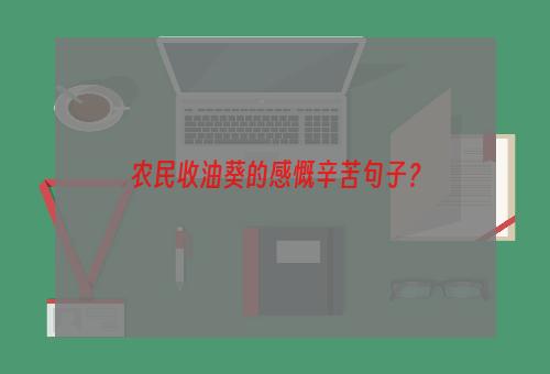 农民收油葵的感慨辛苦句子？