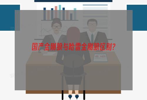 国产金刚狼与哈雷金刚狼区别？