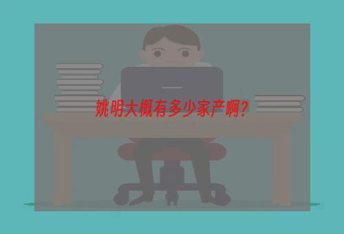 姚明大概有多少家产啊？