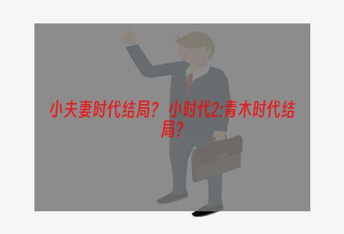 小夫妻时代结局？ 小时代2:青木时代结局？