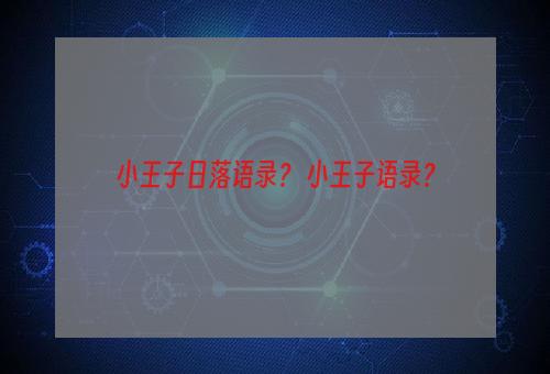 小王子日落语录？ 小王子语录？