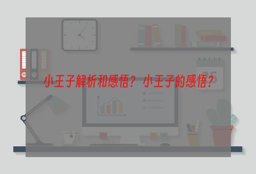 小王子解析和感悟？ 小王子的感悟？