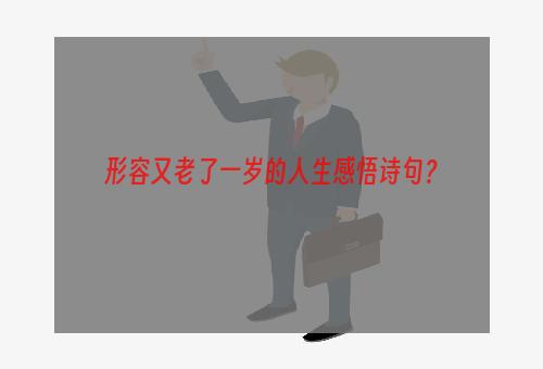 形容又老了一岁的人生感悟诗句？