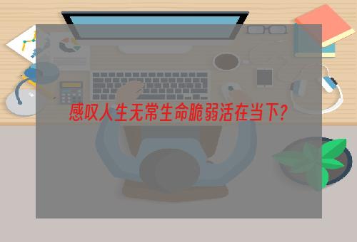 感叹人生无常生命脆弱活在当下？