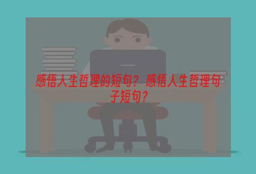 感悟人生哲理的短句？ 感悟人生哲理句子短句？