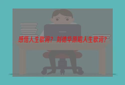 感悟人生歌词？ 刘德华原唱人生歌词？