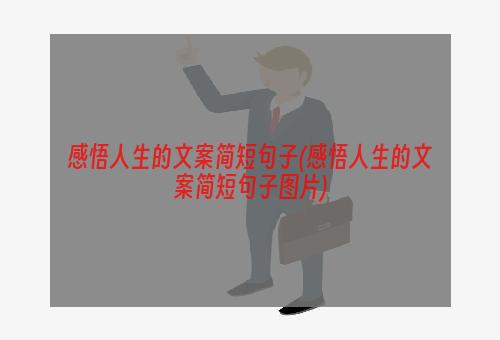 感悟人生的文案简短句子(感悟人生的文案简短句子图片)