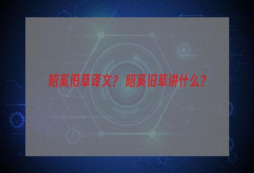 昭奚旧草译文？ 昭奚旧草讲什么？