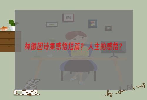 林徽因诗集感悟短篇？ 人生的感悟？