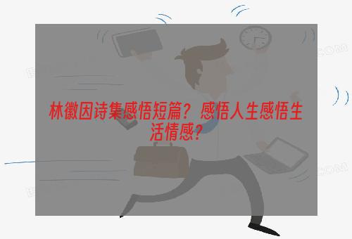 林徽因诗集感悟短篇？ 感悟人生感悟生活情感？