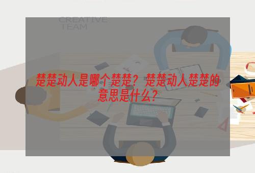 楚楚动人是哪个楚楚？ 楚楚动人楚楚的意思是什么？