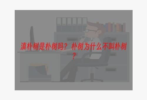 滇朴树是朴树吗？ 朴树为什么不叫朴树？