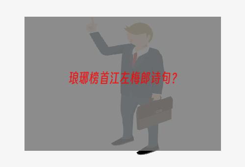 琅琊榜首江左梅郎诗句？