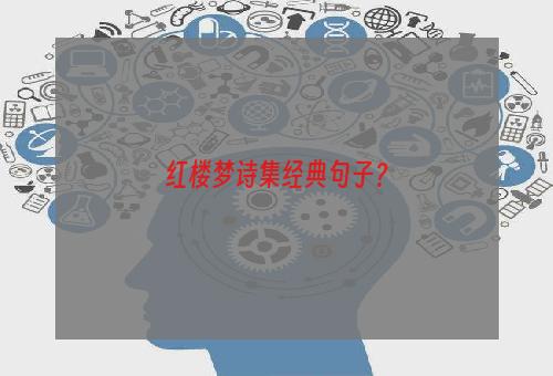 红楼梦诗集经典句子？