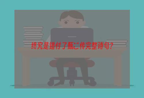 终究是错付了甄嬛传完整诗句？