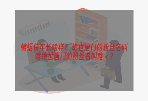 蝙蝠侠车长啥样？ 绝世唐门的粉丝名叫啥绝世唐门的粉丝名叫啥＜？