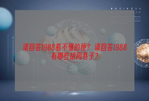 请回答1988看不懂的梗？ 请回答1988有哪些胡同巷子？