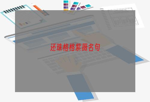 还珠格格紫薇名句