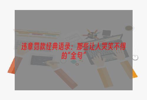 违章罚款经典语录：那些让人哭笑不得的“金句”