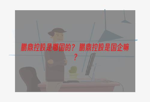 鹏鼎控股是哪国的？ 鹏鼎控股是国企嘛？